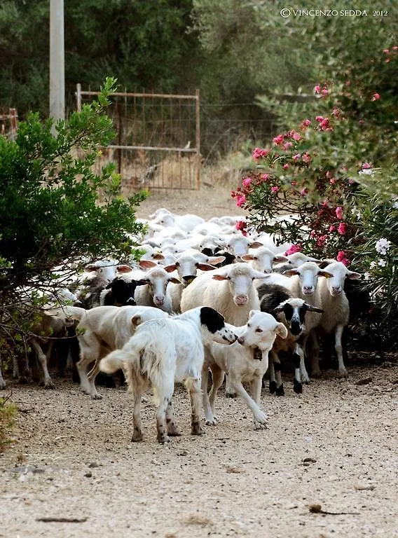 Country House S'Ozzastru Dorgali Italien